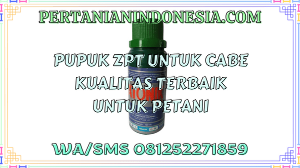 Pupuk ZPT Untuk Cabe Kualitas Terbaik Untuk Petani